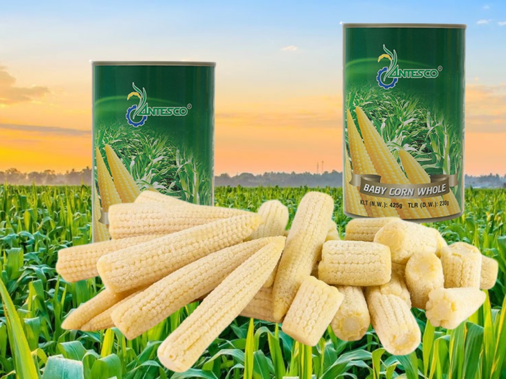 Lựa chọn hoàn hảo cho mọi bữa ăn