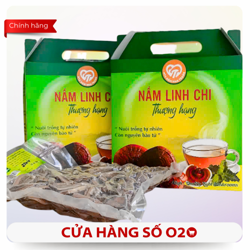 Hồ Sơ Công Bố Sản Phẩm Nấm Linh Chi Hợp Tác Xã Nấm Nha Trang