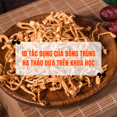 10 tác dụng của đông trùng hạ thảo dựa trên khoa học