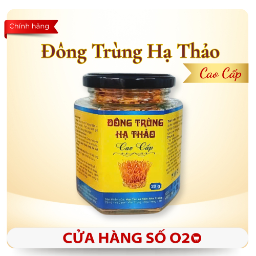 Hồ Sơ Công Bố Sản Phẩm Nấm Đông Trùng Hạ Thảo Hợp Tác Xã Nấm Nha Trang